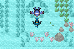 kyogre laboratory pokemon light platinum