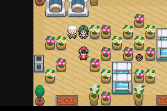 pokemon botanic light platinum