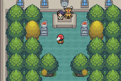 first gym pokémon light platinum