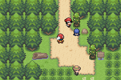 route 403 pokémon light platinum