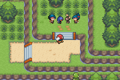 pokemon ruta 404 light platinum