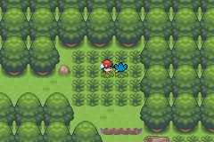 pokemon light platinum shinx