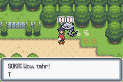 pokemon light platinum steelix